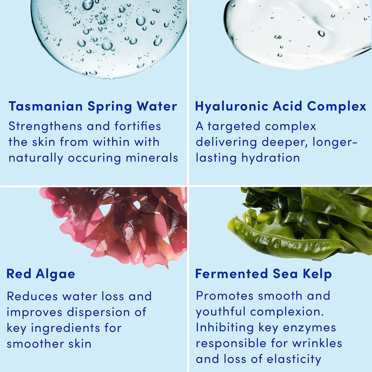 Sand & Sky Face Moisturizer Hyaluronic Acid Gel Cream - Tasmanian Spring Water Hydration Boost, Lightweight Water Cream for Dry Skin, Red Algae Skin Barrier Protection, Australian Skincare, 1.7 oz