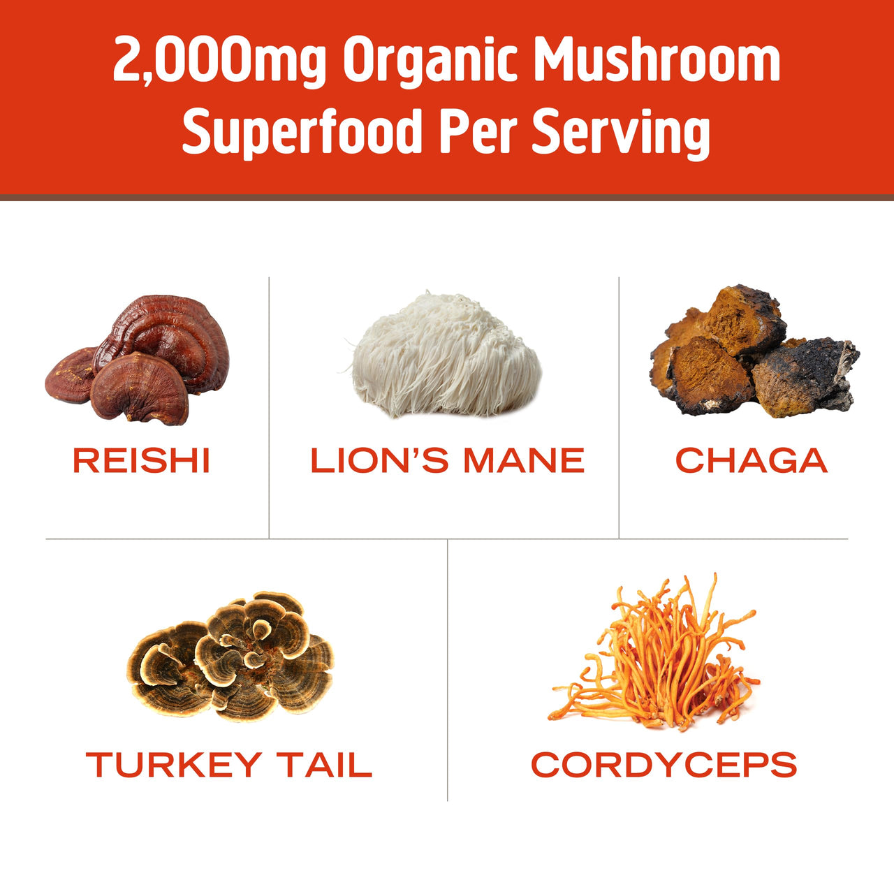 OM MUSHROOM SUPERFOOD Morning Energy Blend – Coffee-Free Mushroom Drink Mix with Cordyceps, Lion’s Mane, Rhodiola & Vitamin D2 – Natural Energy, Focus & Endurance Support – Single Serve (10 Count)