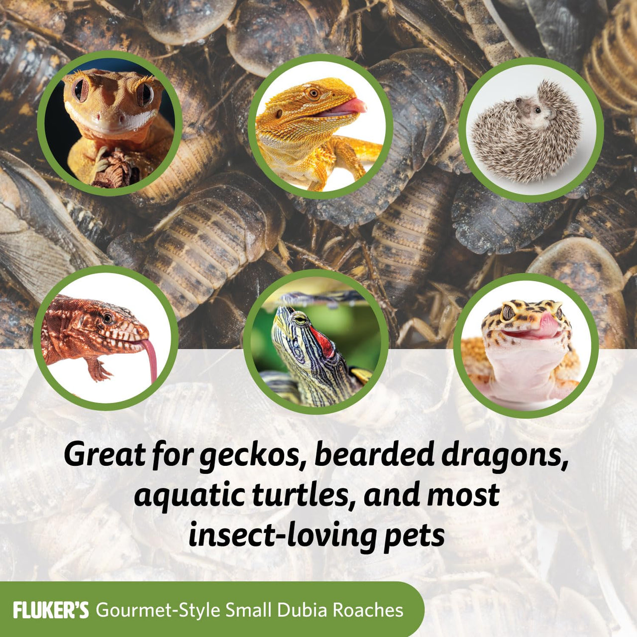Fluker's Gourmet Canned Food for Reptiles, Fish, Birds and Small Animals, Dubia Roaches, 1.2 oz