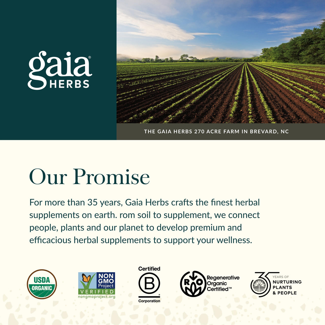 Gaia Herbs Oil of Oregano - Immune & Antioxidant Support Supplement - with Oregano Oil, Carvacrol & Thymol* - 60 Vegan Liquid Phyto-Caps (60 Servings)