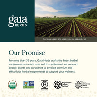 Thumbnail for Gaia Herbs Oil of Oregano - Immune & Antioxidant Support Supplement - with Oregano Oil, Carvacrol & Thymol* - 60 Vegan Liquid Phyto-Caps (60 Servings)