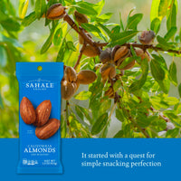 Thumbnail for Sahale Snacks California Dry Roasted Almonds, 1.5 oz Grab & Go Bags (18 Packs) - Dry-Roasted Almonds with a Touch of Sea Salt - Non-GMO, Kosher, & Certified Gluten-Free Snacks
