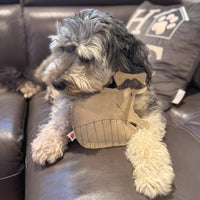 Thumbnail for SPOT Dura-Fused Leather Raccoon Dog Toy – Real Leather & Jute Fabric, Double-Stitched & Durable, Squeaky Interactive Chew Toy for Moderate Chewers, Small & Medium Dogs, Soft Stuffed Fetch Toy, 7.25in