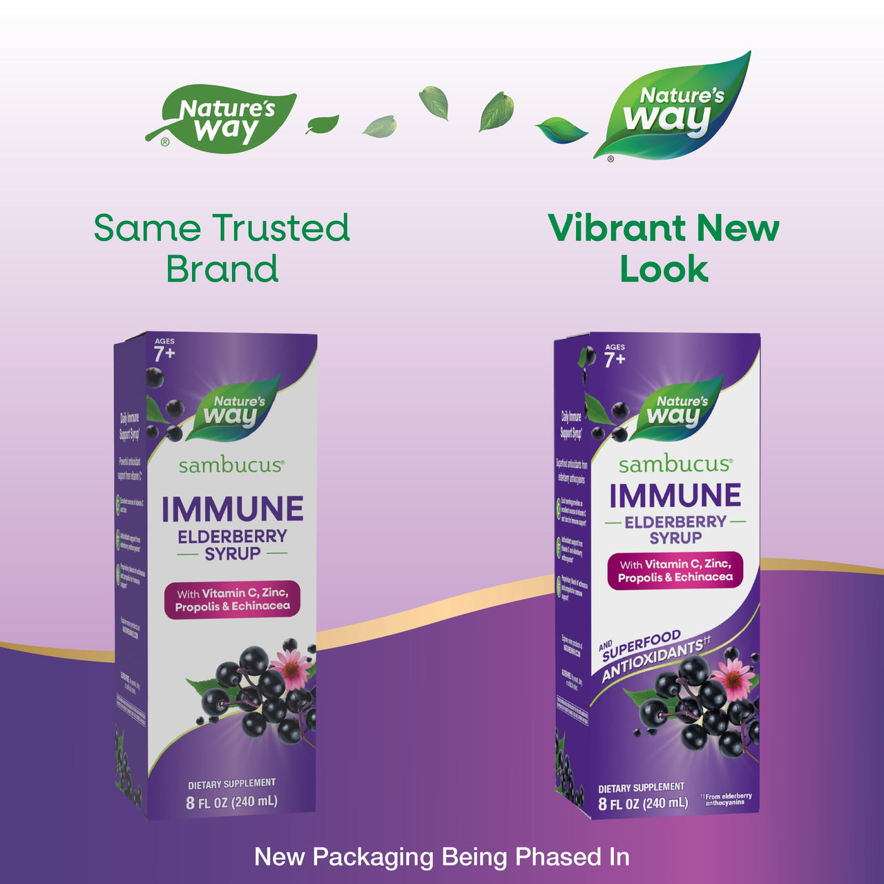 Nature's Way Sambucus Immune Elderberry Syrup, Elderberry extract, Vitamin C and Zinc with Propolis & Echinacea for Immune Support*, with Superfood Antioxidants(1), 8 Fl Oz (Packaging May Vary)