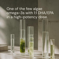 Thumbnail for Blueprint Bryan Johnson Omega-3 - Vegan Algae Omega 3 Supplement with EPA/DHA - 800mg Plant-Based for Brain, Heart & Joint Support - High Absorption Triglyceride Form - 1:1 EPA/DHA