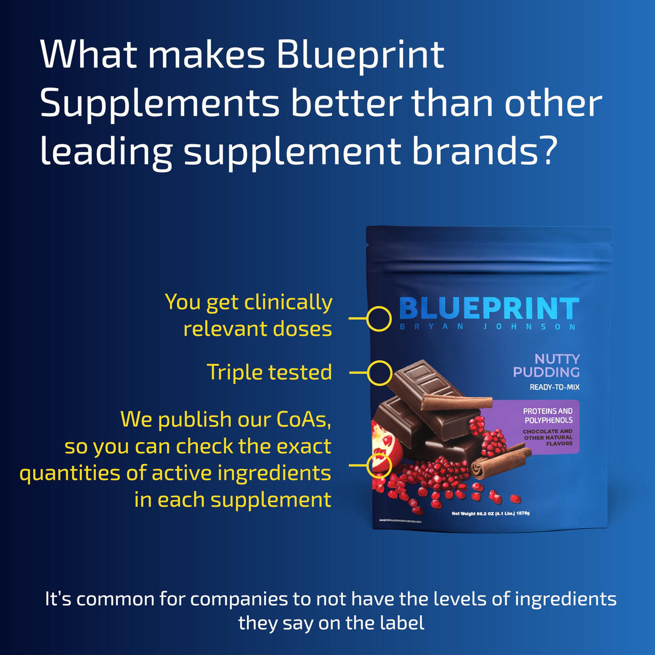 Blueprint Bryan Johnson Longevity Protein Nutty Pudding - 26g Plant Protein, Non Dairy, 100% Pure Cocoa Powder - Grape Seed Extract - 7.5% Flavanols - Heavy Metal Tested - Vegan, Keto (30 Servings)