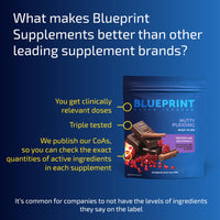 Thumbnail for Blueprint Bryan Johnson Longevity Protein Nutty Pudding - 26g Plant Protein, Non Dairy, 100% Pure Cocoa Powder - Grape Seed Extract - 7.5% Flavanols - Heavy Metal Tested - Vegan, Keto (30 Servings)