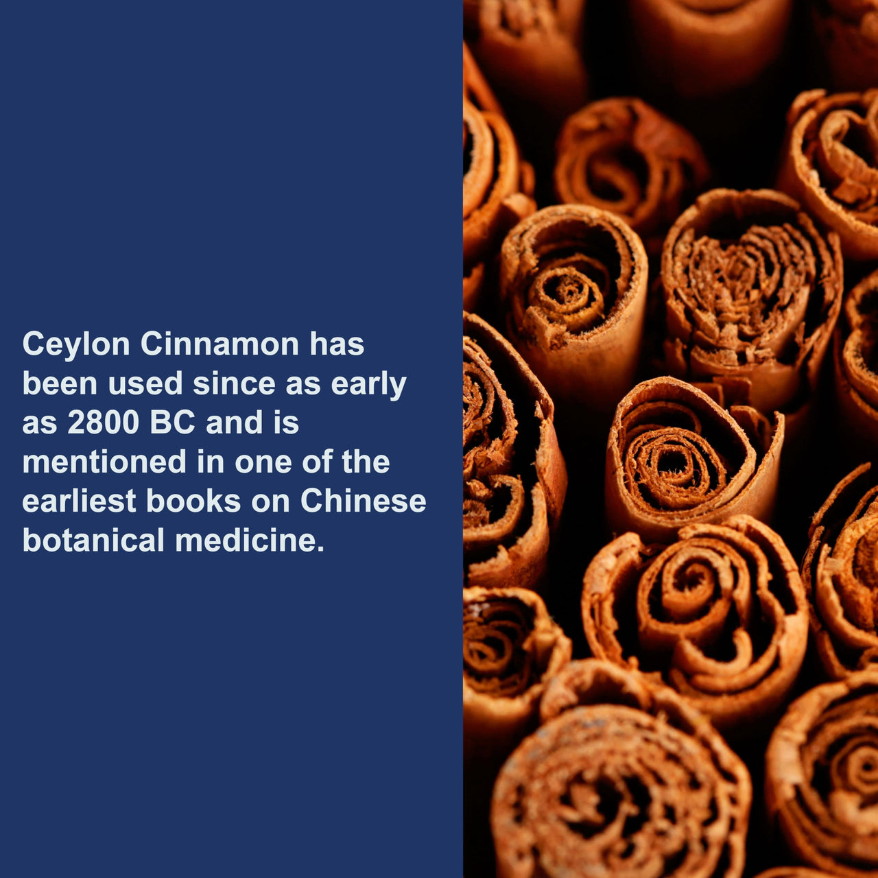 Carlson - Ceylon Cinnamon, Cinnamon Supplements, 500 mg, Cinnamon Extract Pills, Ceylon Cinnamon Capsules, 90 Capsules.