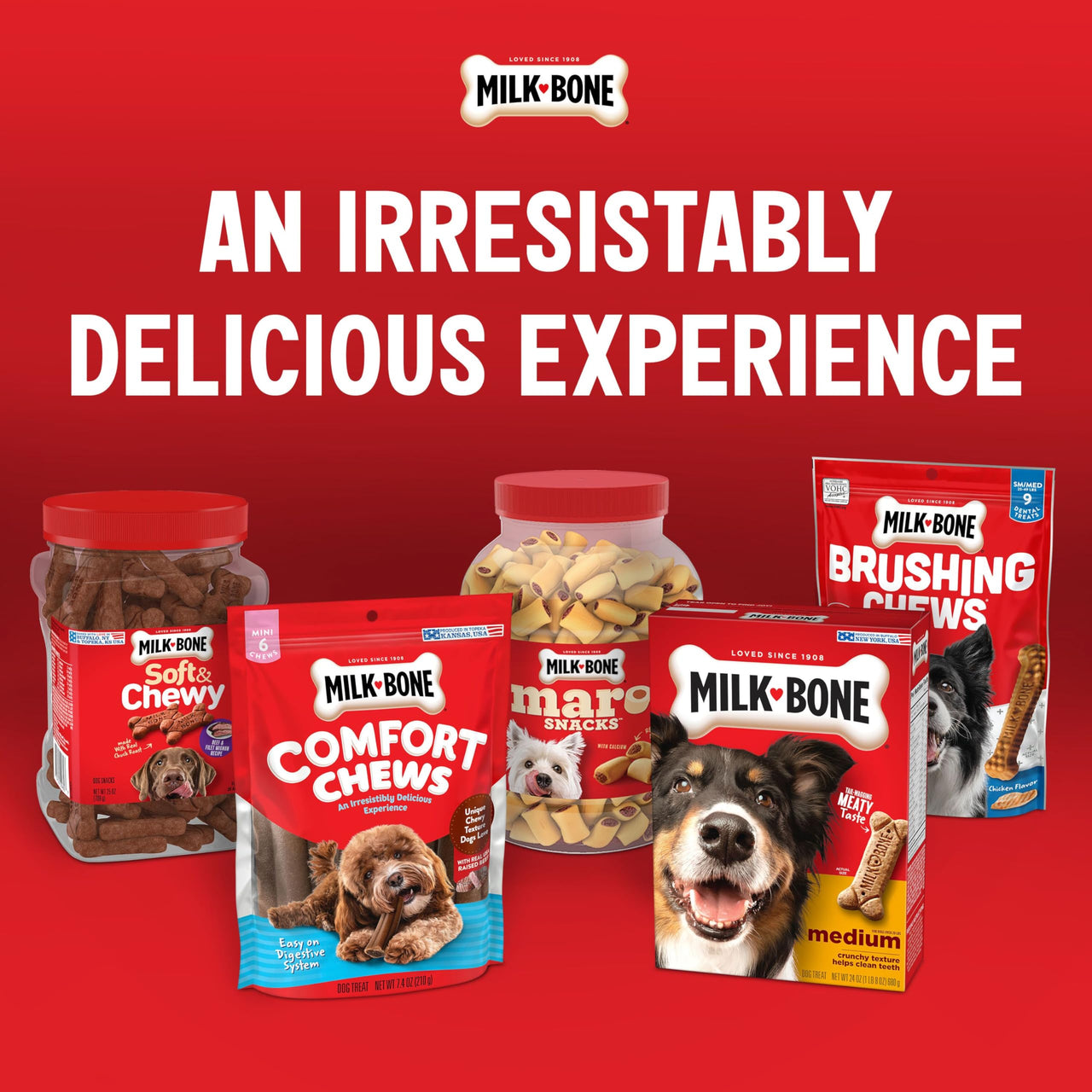 Milk-Bone Original Dog Treats Biscuits for Medium Dogs, 10 Pound