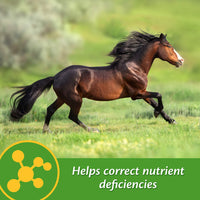 Thumbnail for Farnam Vita-Min E & Selenium Antioxidant Supplement for Horses, Horse Vitamin E Supplement, Muscle Health and Peak Condition, 3 lb, 96 Day Supply