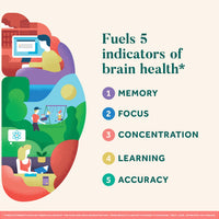 Thumbnail for NEURIVA Original Decaffeinated Clinically Tested Nootropic Brain Supplement for Memory, Focus & Concentration, NeuroFactor & Phosphatidylserine, 28ct Capsules