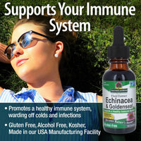 Thumbnail for Nature's Answer Echinacea & Goldenseal Liquid Extract Drops Alcohol Free 1 Ounce | Promotes Overall Wellness | Natural Immune Booster | Inflammatory Reducer