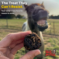 Thumbnail for Stud Muffins 5.8lb Horse Treats Bag/Stud Muffins are Great Training Treats and Horse Pill Pockets/Our Treats for Horses are All Natural Horse Treats/Durable 5.8lb Horse Treats Bulk Pack