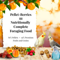 Thumbnail for LAFEBER'S Pellet-Berries Pet Bird Food, Made with Non-GMO and Human-Grade Ingredients, for Cockatiels, Conures, Parakeets (Budgies), Lovebirds (PelletBerries 10 oz)