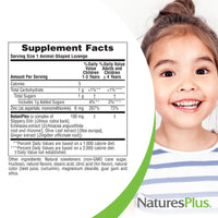 Thumbnail for NaturesPlus Animal Parade KidZinc, Tangerine Flavor - 90 Animal-Shaped Lozenges - Organically Chelated Zinc - Vegan, Gluten Free - 90 Servings