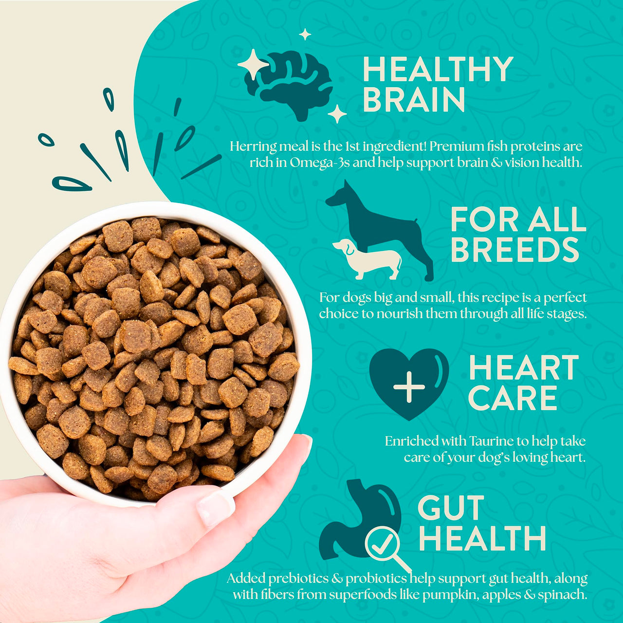 Earthborn Holistic Coastal Catch Herring Meal & Vegetables Grain-Free Dry Dog Food 4 lb