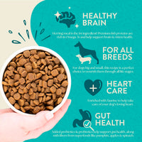 Thumbnail for Earthborn Holistic Coastal Catch Herring Meal & Vegetables Grain-Free Dry Dog Food 4 lb
