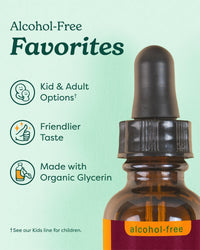Thumbnail for Herb Pharm Certified Organic Echinacea Root Liquid Extract for Immune System Support, Alcohol-Free Glycerite, 4 Ounce