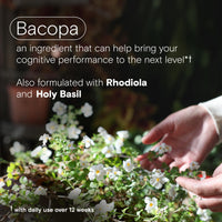 Thumbnail for One A Day Cognitive Supplement – Brain Supplement to Support Cognitive Performance for Men and Women with Bacopa. Also includes Rhodiola, & Holy Basil, 30 Capsules (Packaging May Vary)