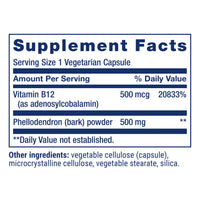 Thumbnail for Life Extension Dopamine Advantage, Cognitive Health, Mental Sharpness, Motivation, Vitamin B12, phellodendron bark Powder, Gluten Free, Non-GMO, Vegetarian, 30 Capsules