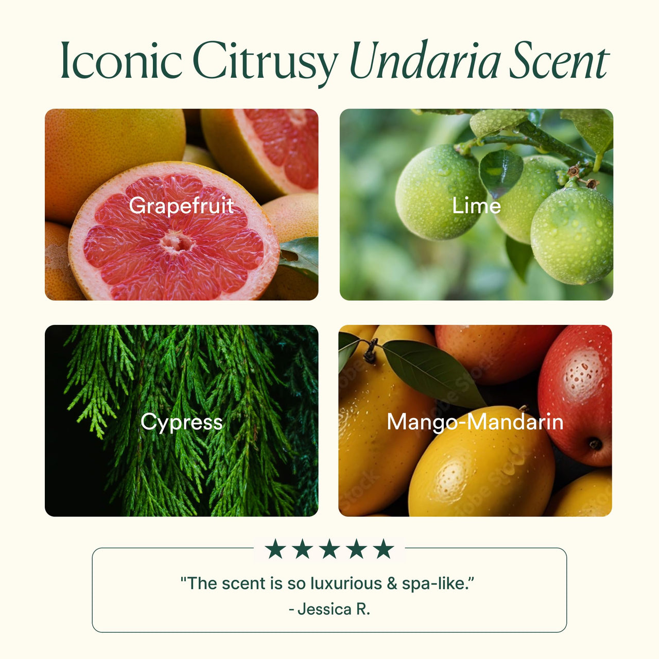 OSEA Undaria Algae™ Body Lotion 5 oz - Ultra-Hydrating & Lightweight Body Lotion - Firms Skin in 4 Hours - Packed with Undaria Seaweed & Hyaluronic Acid - for Dry, Normal, & Combination Skin