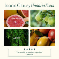 Thumbnail for OSEA Undaria Algae™ Body Lotion 5 oz - Ultra-Hydrating & Lightweight Body Lotion - Firms Skin in 4 Hours - Packed with Undaria Seaweed & Hyaluronic Acid - for Dry, Normal, & Combination Skin