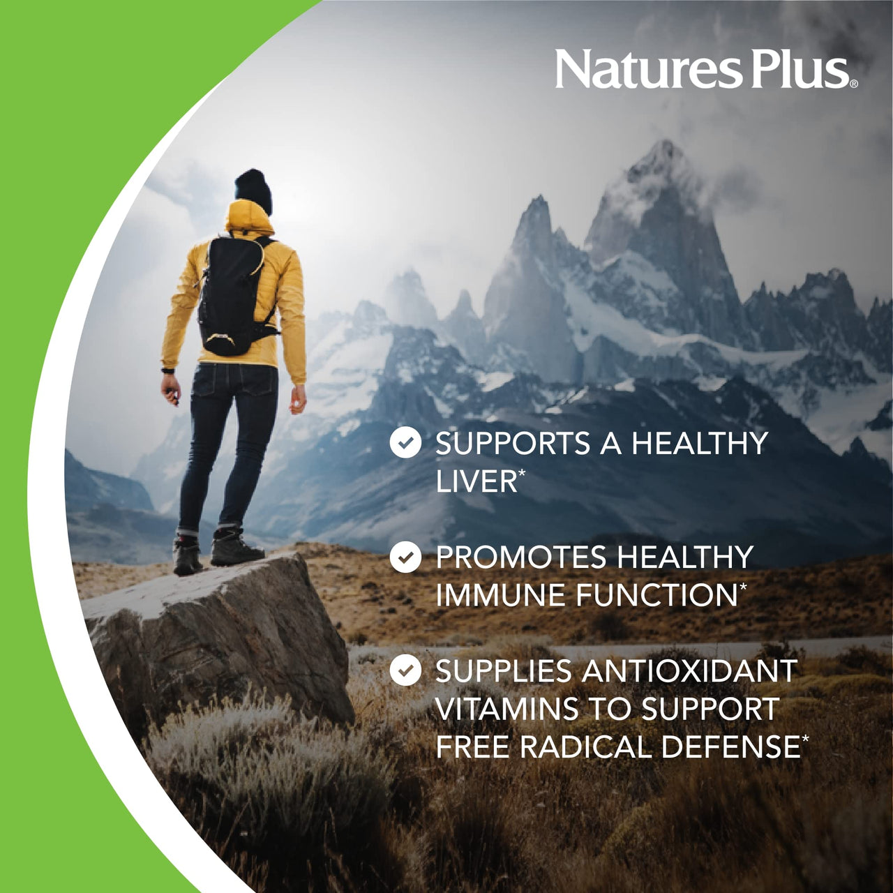 NaturesPlus AgeLoss Liver Support - 90 Capsules - with Artichoke, Milk Thistle & Choline - Vegetarian, Gluten Free - 30 Servings