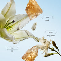 Thumbnail for philosophy pure grace whipped body crème 4 fl oz