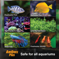 Thumbnail for Kordon AmQuel Plus Aquarium Water Conditioner - Instantly Detoxifies Ammonia, Nitrite, Nitrate, and Chlorine Remover for Freshwater & Saltwater Aquariums, 16 Ounces