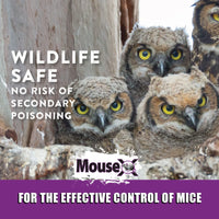 Thumbnail for MouseX 1lb Bag, All-Natural Poison Free, Effective Against All Species of Rats and Mice - EcoClear Products