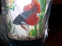 Thumbnail for Lee's Kritter Keeper, Round with Lid and Pedestal - Small