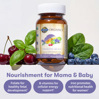 Thumbnail for Garden of Life Organics, Prenatal Multi, 90 Vegan Tablets