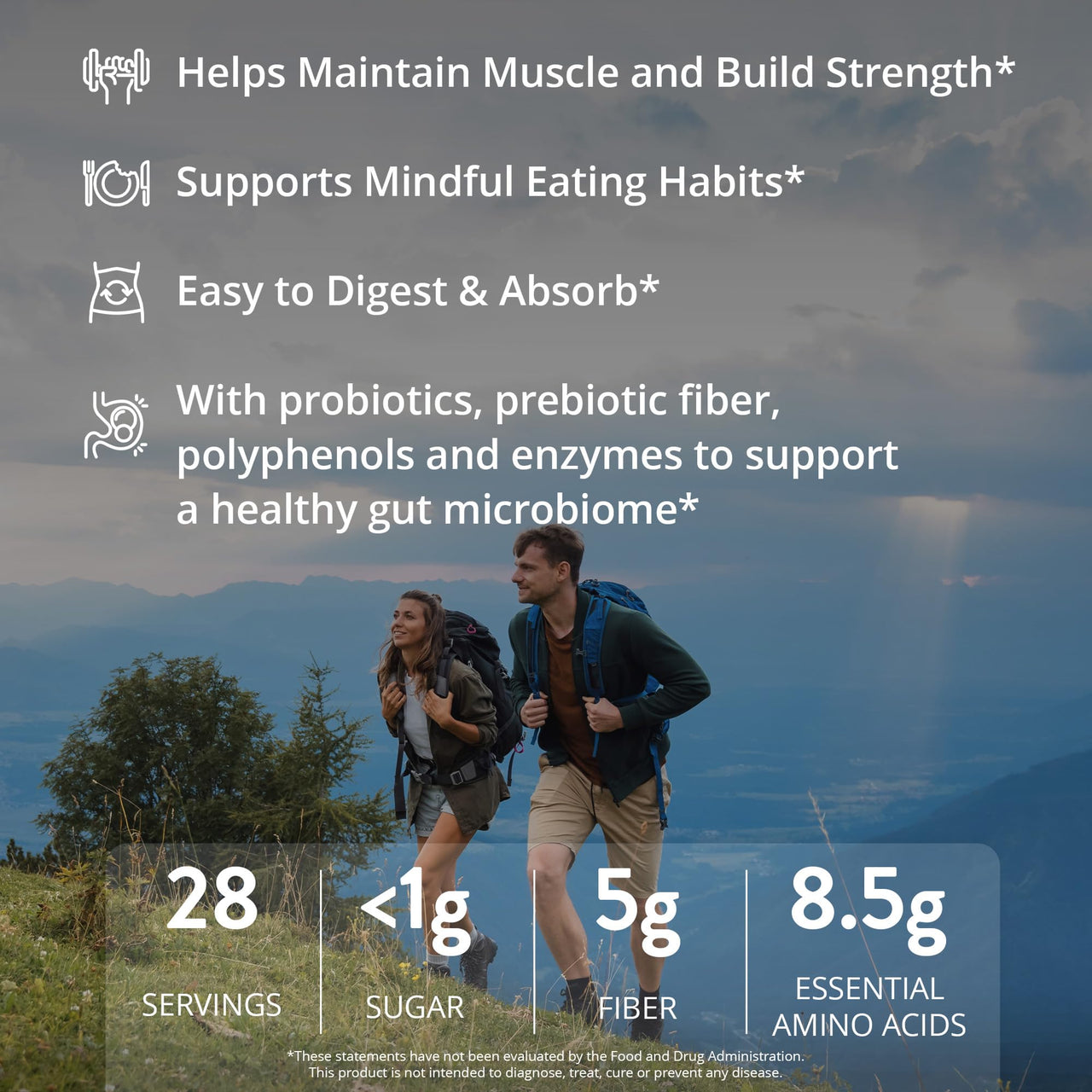 MRM Nutrition Veggie Meal Replacement Protein - Chocolate Mocha Flavored, 22g Vegan Protein for Women & Men, Macronutrient Formula with Enzymes & Amino Acids - 28 servings