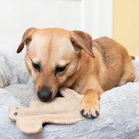 Thumbnail for SPOT Dura-Fused Leather Squirrel Dog Toy – Real Leather & Jute Fabric, Double-Stitched & Durable, Soft Stuffed Squeaky Interactive Chew Toy for Moderate Chewers, Small & Medium Dogs, 8in