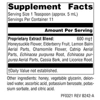 Thumbnail for Planetary Herbals Well Child, Alcohol Free, Echinacea-Elderberry Herbal Syrup - 2 Fluid oz