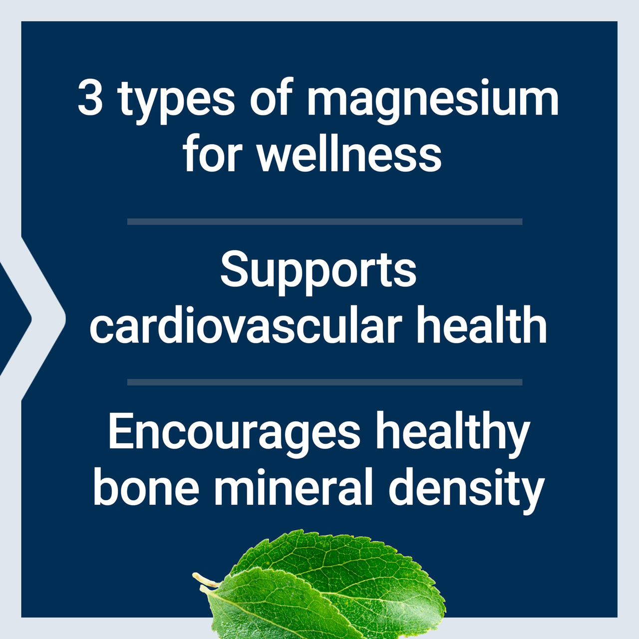 Life Extension Magnesium Caps, 500 mg, Magnesium Oxide, Citrate, and Succinate, Heart Health, Healthy Bones, Metabolism Support, 100 Vegetarian Capsules