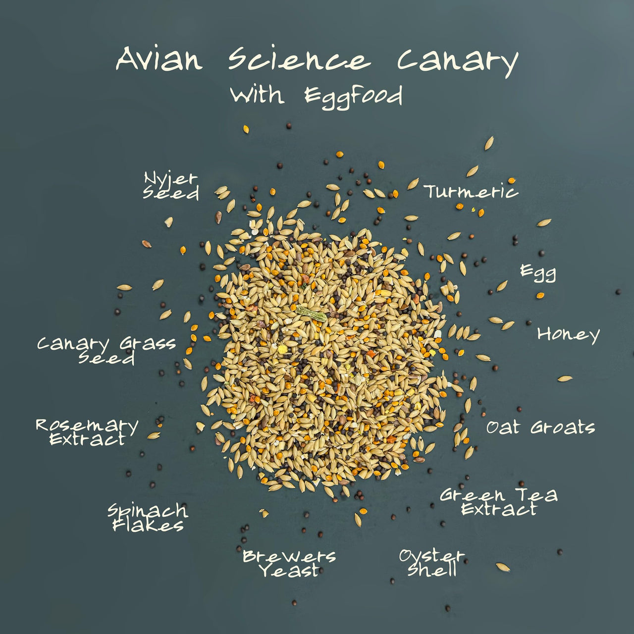 Volkman Avian Science Super Canary Bird Seed 4 Lb