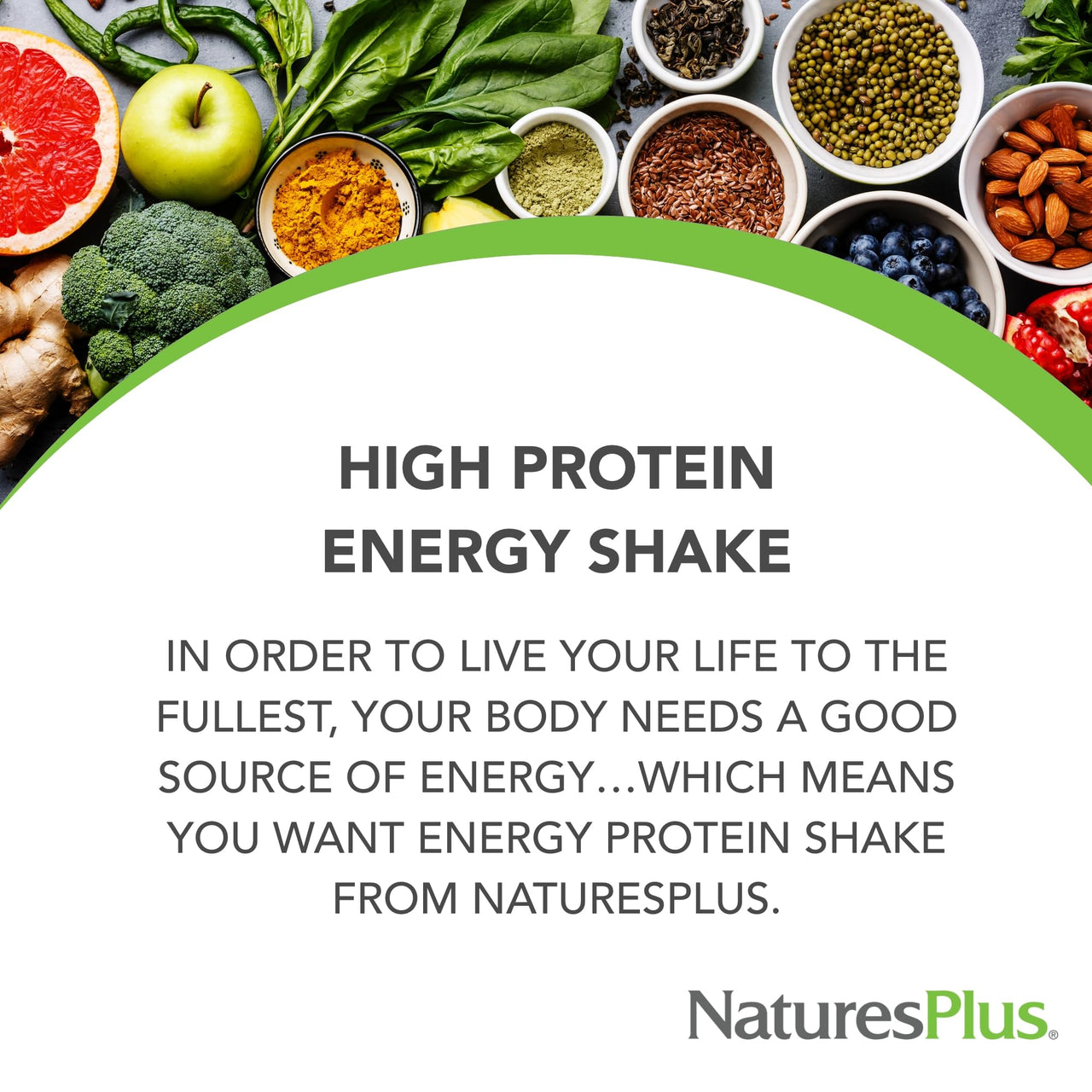 NaturesPlus Energy Shake - 1.7 lb - 16 Grams of Plant-Based Protein Per Serving - Contains Digestion-Supporting Enzymes - No Added Sugar - Non-GMO, Vegetarian, Gluten Free - 28 Servings
