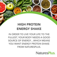 Thumbnail for NaturesPlus Energy Shake - 1.7 lb - 16 Grams of Plant-Based Protein Per Serving - Contains Digestion-Supporting Enzymes - No Added Sugar - Non-GMO, Vegetarian, Gluten Free - 28 Servings