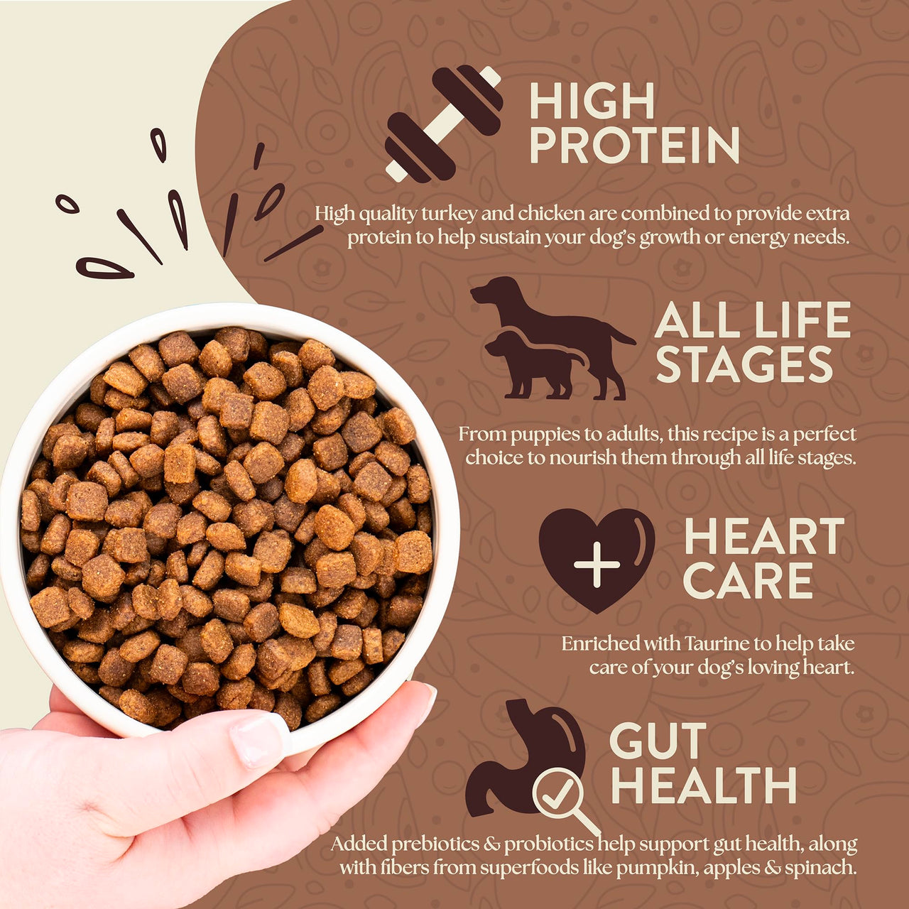 Earthborn Holistic Primitive Natural Turkey Meal & Vegetables Grain-Free Dry Dog Food 4 lb