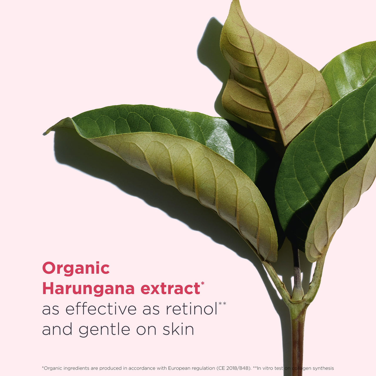 Clarins Super Restorative Treatment Essence | Anti-Aging Face Lotion For Mature Skin Weakened By Hormonal Changes | Visibly Smoothes, Refines Pores, Softens Skin and Restores Radiance | 6.7 Fl Oz