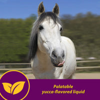 Thumbnail for Horse Health Red Cell, Liquid Vitamin-Iron-Mineral Supplement for Horses, Helps Fill Important Nutritional Gaps in Horse's Diet, 1 Qt., 32 Oz., 16-Day Supply