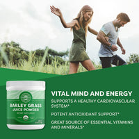 Thumbnail for Vimergy Barley Grass Juice Powder Dietary Supplement - 0.8g per Serving (312 Servings) – Clean Superfood Formula – Promotes Cardiovascular Health* – Organic, Vegan & Gluten-Free – Regular Size 250g
