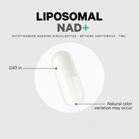 Thumbnail for Codeage Liposomal NAD+ Supplement - NAD Nicotinamide Adenine Dinucleotide Coenzyme Pills - 500 mg NAD+ Per Serving & Betaine Anhydrous - Liposomal Delivery - Vegan, Non-GMO, Gluten-Free - 60 Capsules