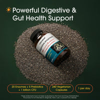 Thumbnail for NatureBell Digestive Enzymes - 240 Capsules - Gut & Digestive Health Support Supplement* - with 20 Enzymes, 5 Prebiotics & 10-Strand Probiotic Blend