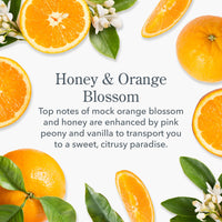 Thumbnail for Beekman 1802 Face & Body Wipes, Honey & Orange Blossom - Scented - 30 Count - Cleanses - With Goat Milk, Aloe & Vitamin E - Alcohol Free, Biodegradable - Good for Sensitive Skin - Cruelty Free