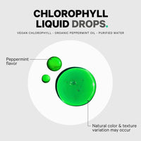 Thumbnail for Codeage Chlorophyll Liquid Drops Supplement, Immune Support, Skin Care, Certified Organic Vegetable Glycerin Water, Liquid Chlorophyll, Organic Peppermint Flavor Clorofila, Vegan - 2 Pack