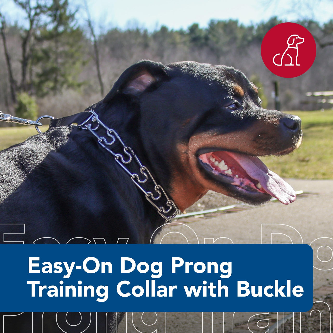 Coastal Pet Titan Easy-On Dog Prong Training Collar - Durable Metal Collar with Side Release Buckle - Black, 3.3 mm x 20