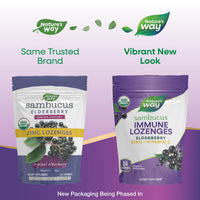 Thumbnail for Nature's Way Organic Sambucus Lozenge, Elderberry and Zinc 24 Pieces (Pack of 3)