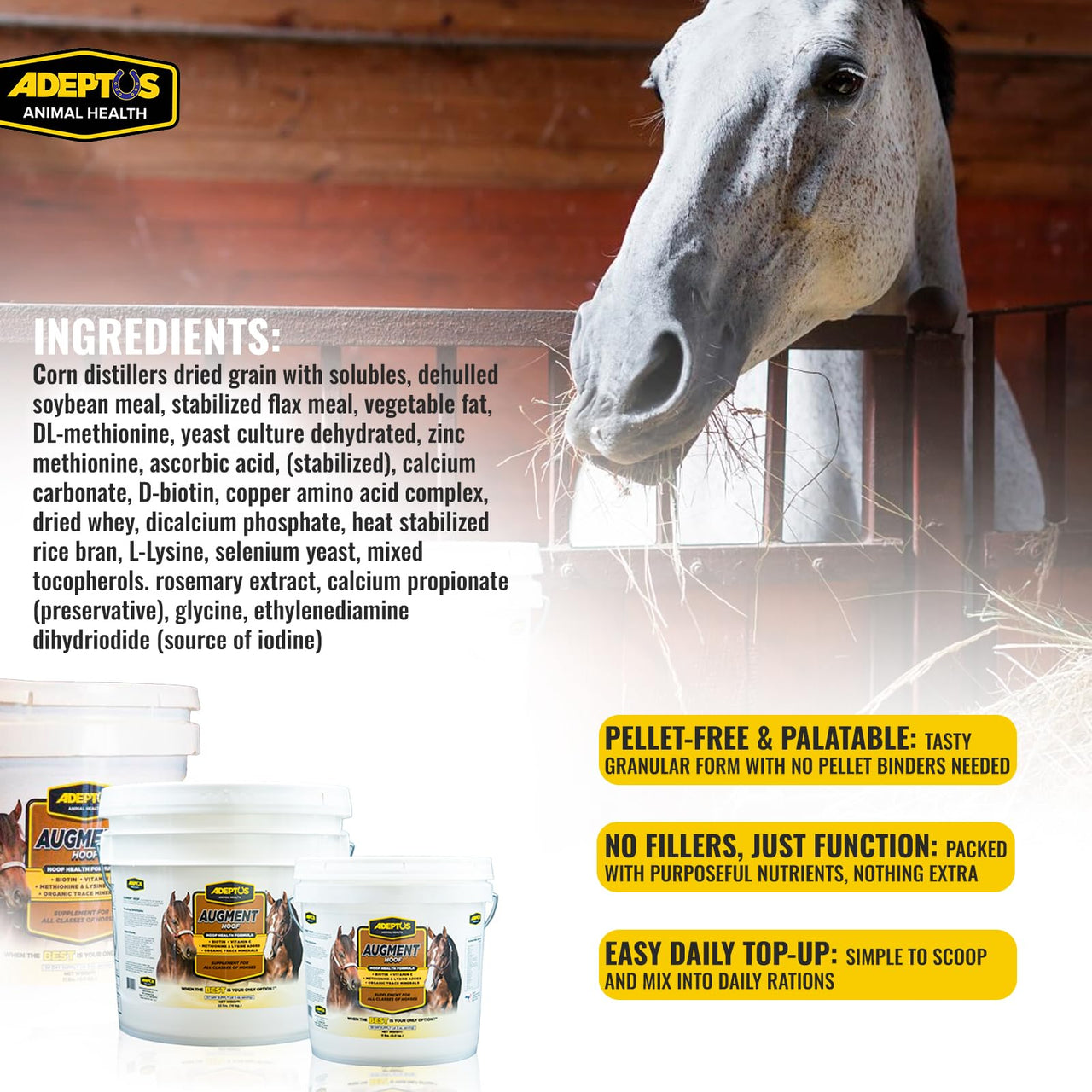 Adeptus Nutrition Augment Hoof, Granular Low Carb Horse Nutrition Support Supplement with Biotin, Amino Acids, Omega 3, 6 Fatty Acids, Chelated Minerals, Prebiotic Yeast Base, 11lbs